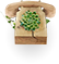 Image with missing alt attribute found on onatera.com