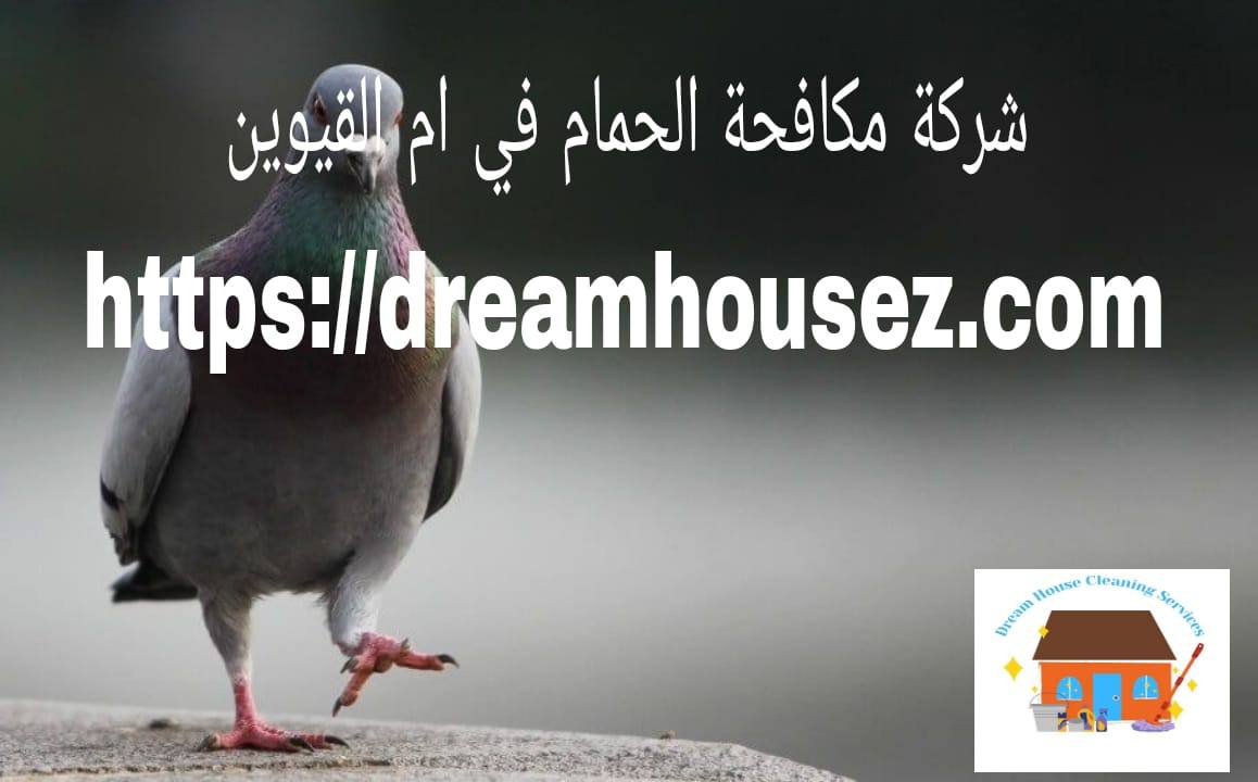 Image with missing alt attribute found on dreamhousez.com