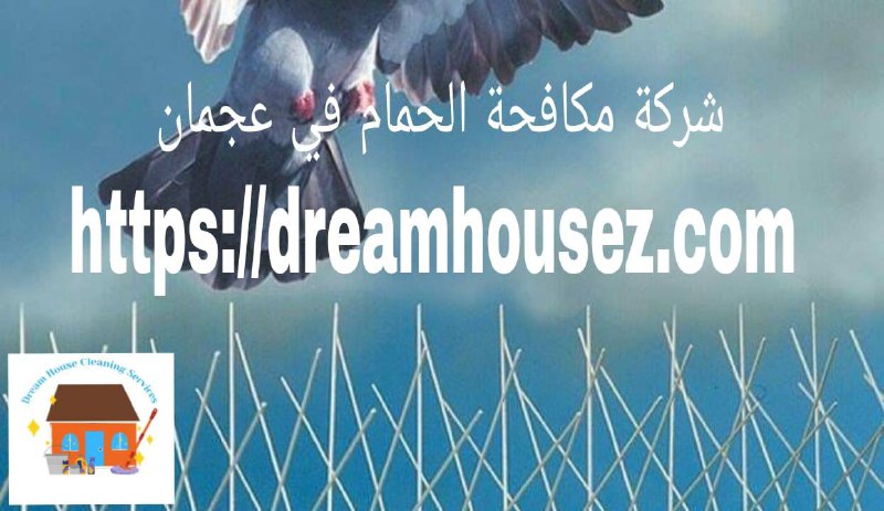 Image with missing alt attribute found on dreamhousez.com