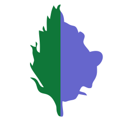 Image with missing alt attribute found on drweed.shop