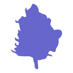 Image with missing alt attribute found on drweed.shop