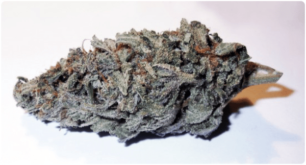 blue dream