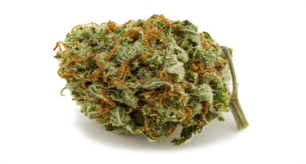 blue mistic