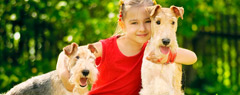Campings acceptant les animaux