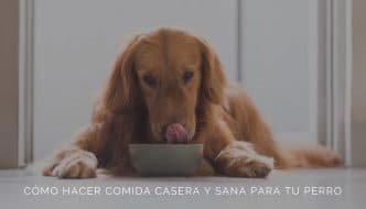 Image with missing alt attribute found on ecoinventos.com