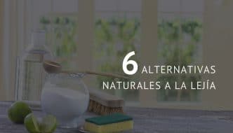 Image with missing alt attribute found on ecoinventos.com