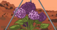 Image with missing alt attribute found on explorelearning.com
