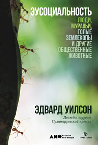 Image with missing alt attribute found on elementy.ru