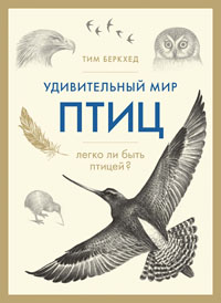 Image with missing alt attribute found on elementy.ru