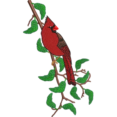Cardinal