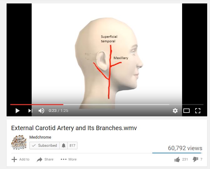 Medical Videos