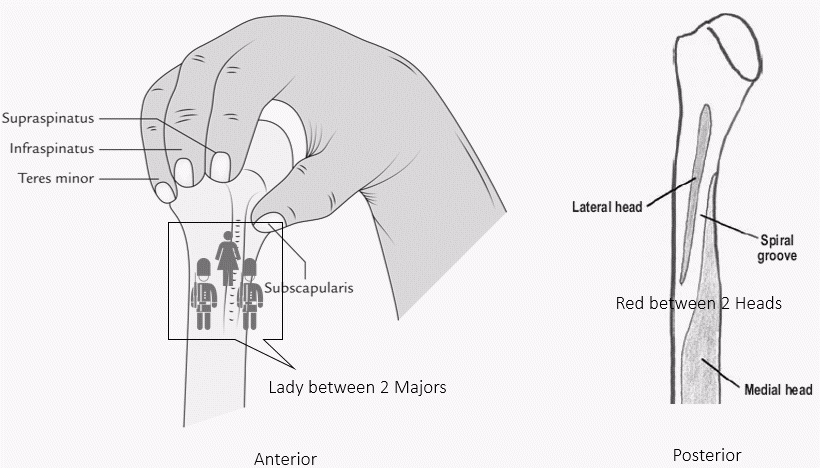 Image with missing alt attribute found on epomedicine.com
