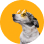 Image with missing alt attribute found on essayltd.com