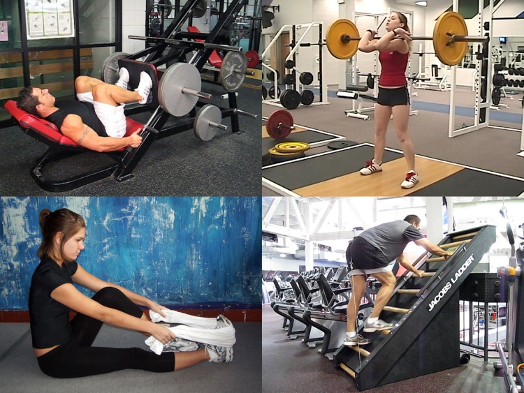 Exercise Libraries