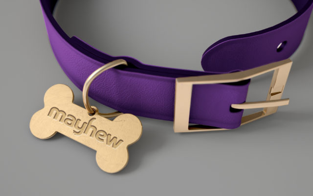 Mayhew branding