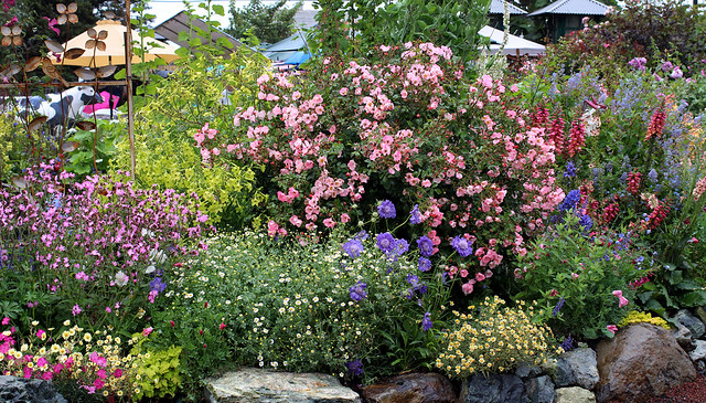 Image with missing alt attribute found on anniesannuals.com