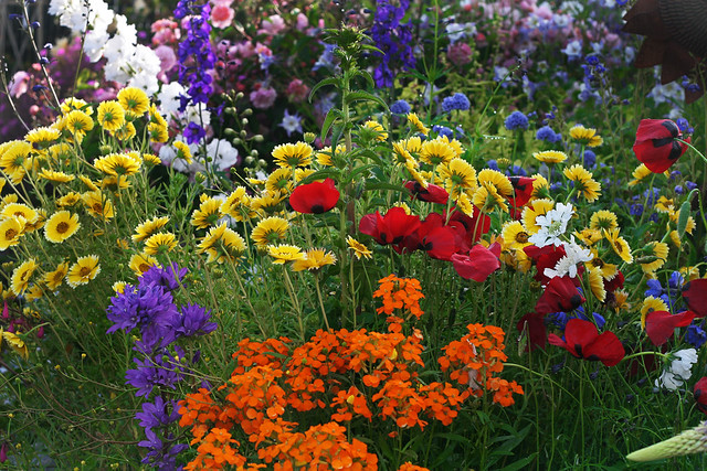 Image with missing alt attribute found on anniesannuals.com
