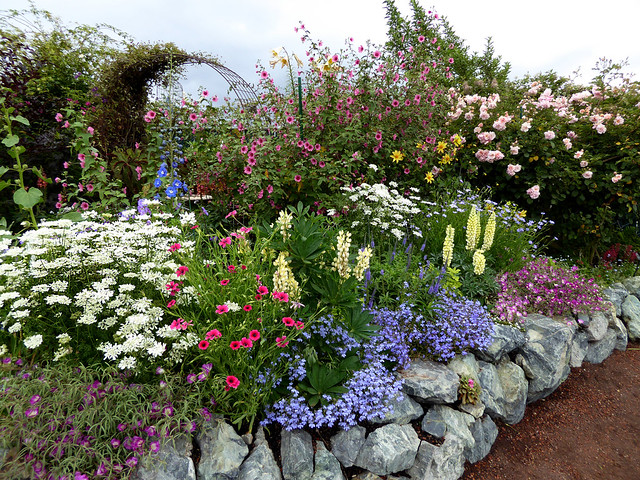 Image with missing alt attribute found on anniesannuals.com