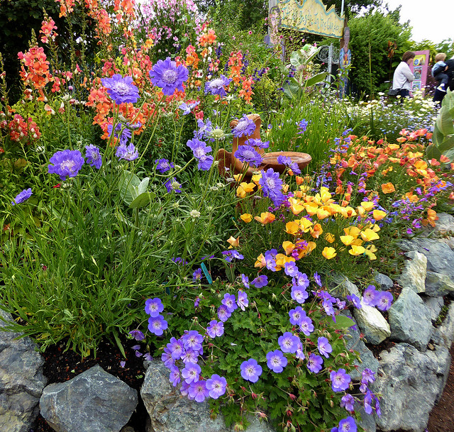 Image with missing alt attribute found on anniesannuals.com