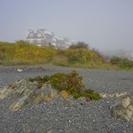 Image with missing alt attribute found on maine.gov