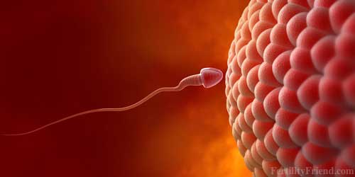 Image with missing alt attribute found on fertilityfriend.com