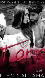Cover of book Torn - Part 1: the Torn Series