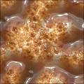 Jelly