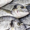 Image with missing alt attribute found on fishretail.ru