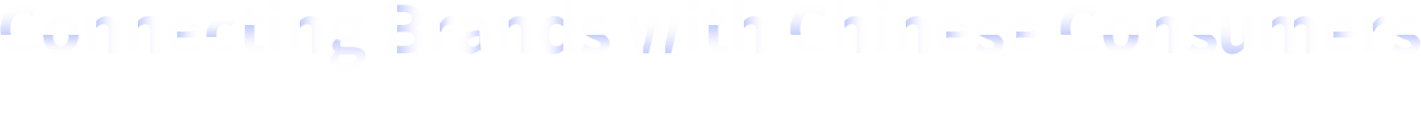 Image with missing alt attribute found on ipinyou.com