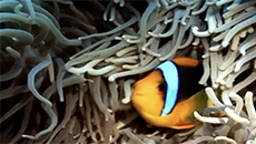 Image with missing alt attribute found on films.com
