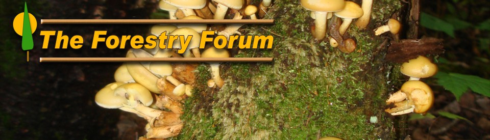 Image with missing alt attribute found on forestryforum.com