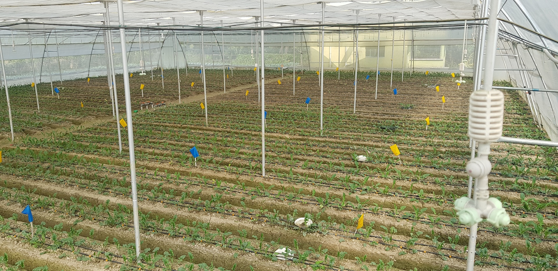Image with missing alt attribute found on aerotechgreenhouse.com
