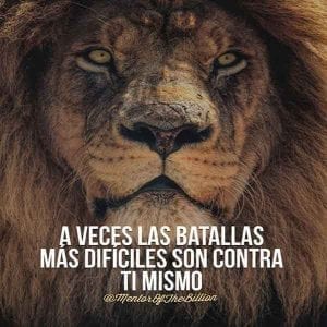 imagenes bonitas con frases