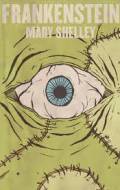 Frankenstein book summaries free