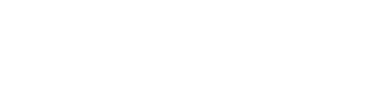Logo SEC - FEC