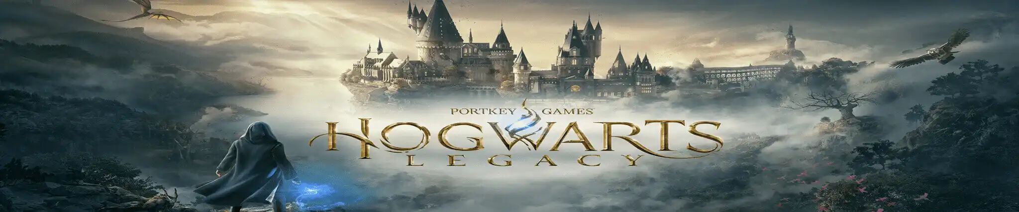 Hogwarts legacy