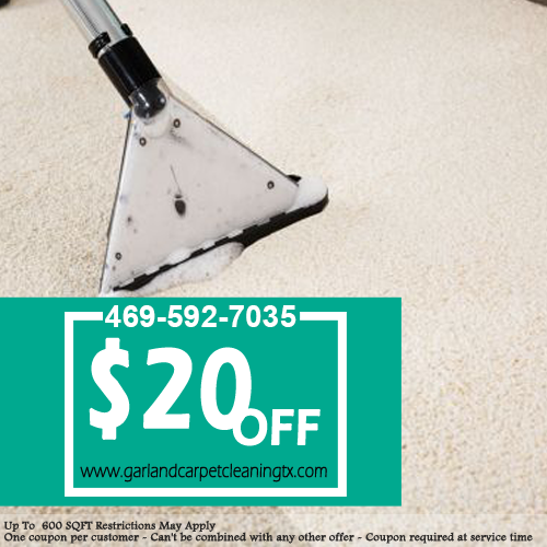 cleaning coupon