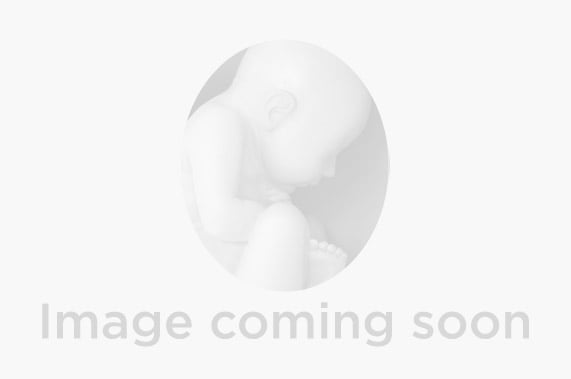 Image with missing alt attribute found on gaumard.com