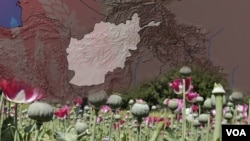 Image with missing alt attribute found on darivoa.com