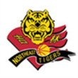 Image with missing alt attribute found on hoopchina.com