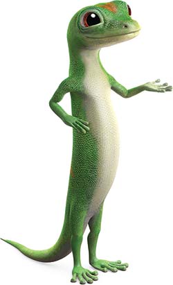 Image with missing alt attribute found on geico.net