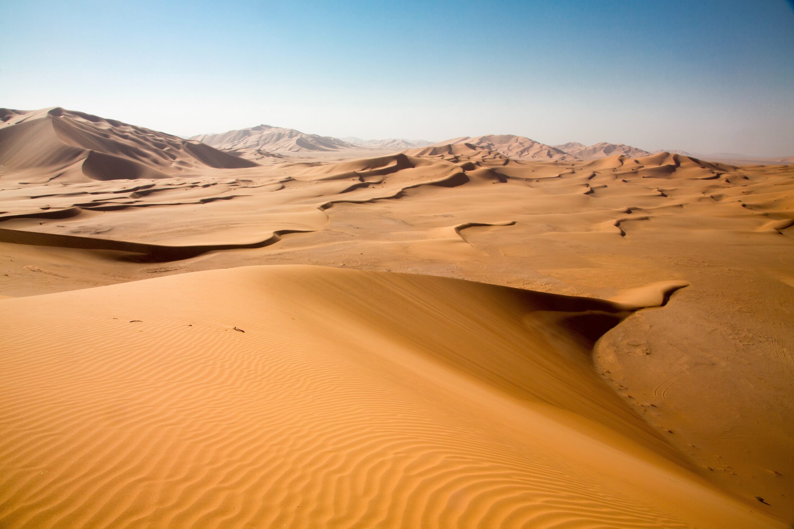 Image with missing alt attribute found on go-oman.com