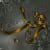 Image with missing alt attribute found on golsarmusic.ir