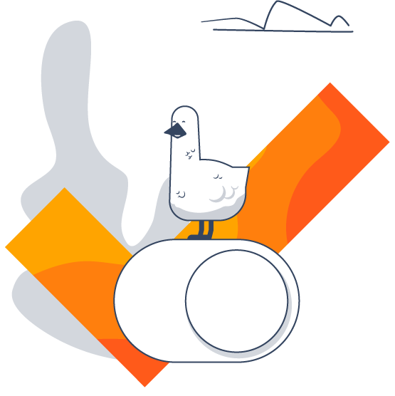 Image with missing alt attribute found on goosevpn.com