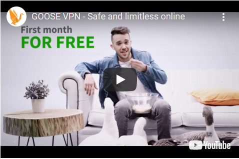 Image with missing alt attribute found on goosevpn.com
