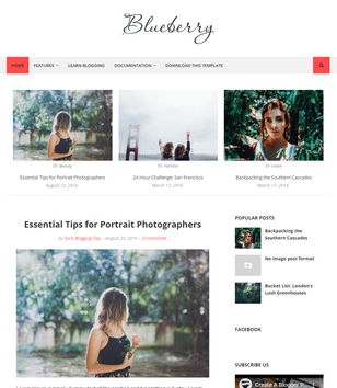 Blueberry Blogger Templates