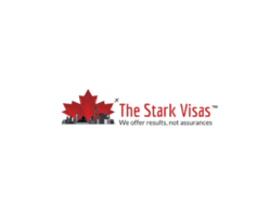 Image with missing alt attribute found on growmorestudio.com
