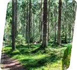 Image with missing alt attribute found on hansagartenhaus.at