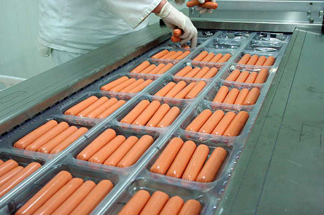 Image with missing alt attribute found on hot-dog.org