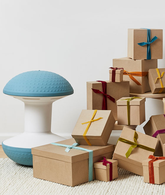 Image for the Holiday Gift Guide